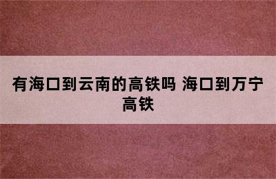 有海口到云南的高铁吗 海口到万宁高铁